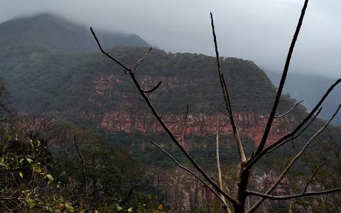 Travesía por las Yungas - Calilegua - Jujuy