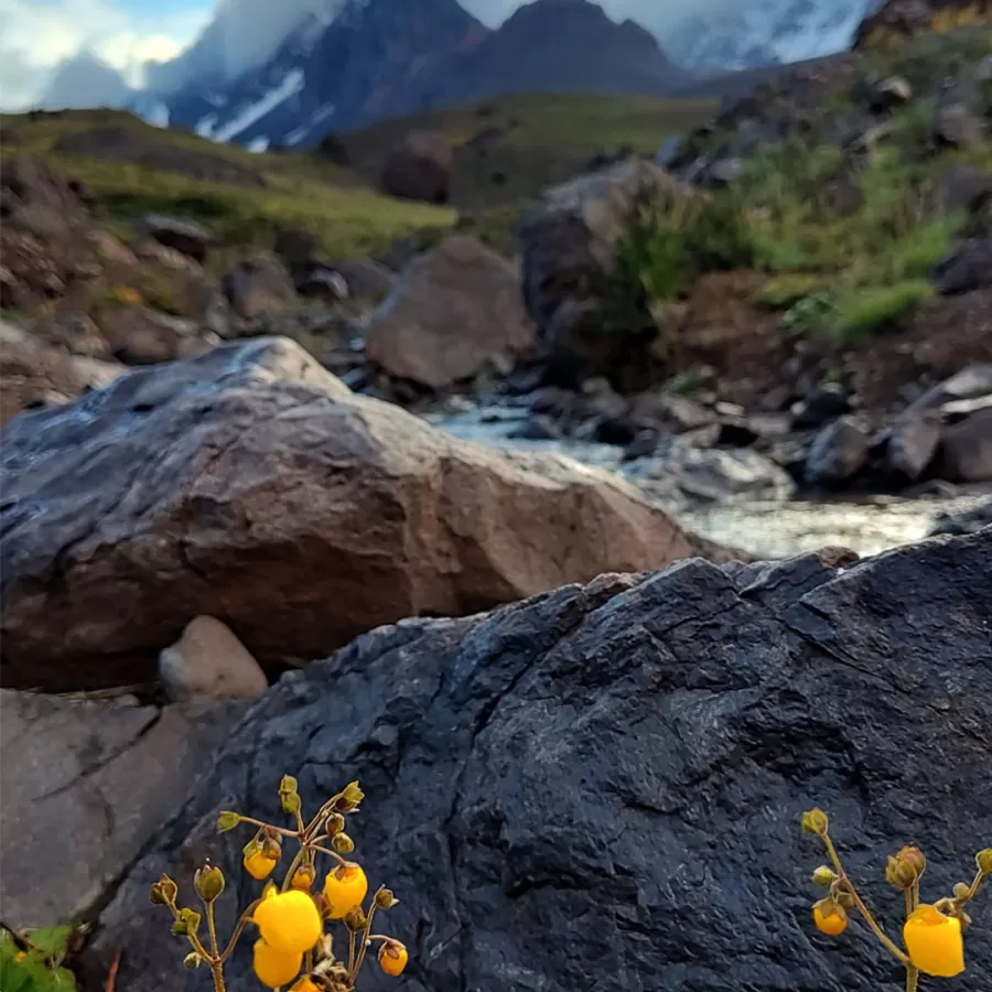Cerro Negro del Inca