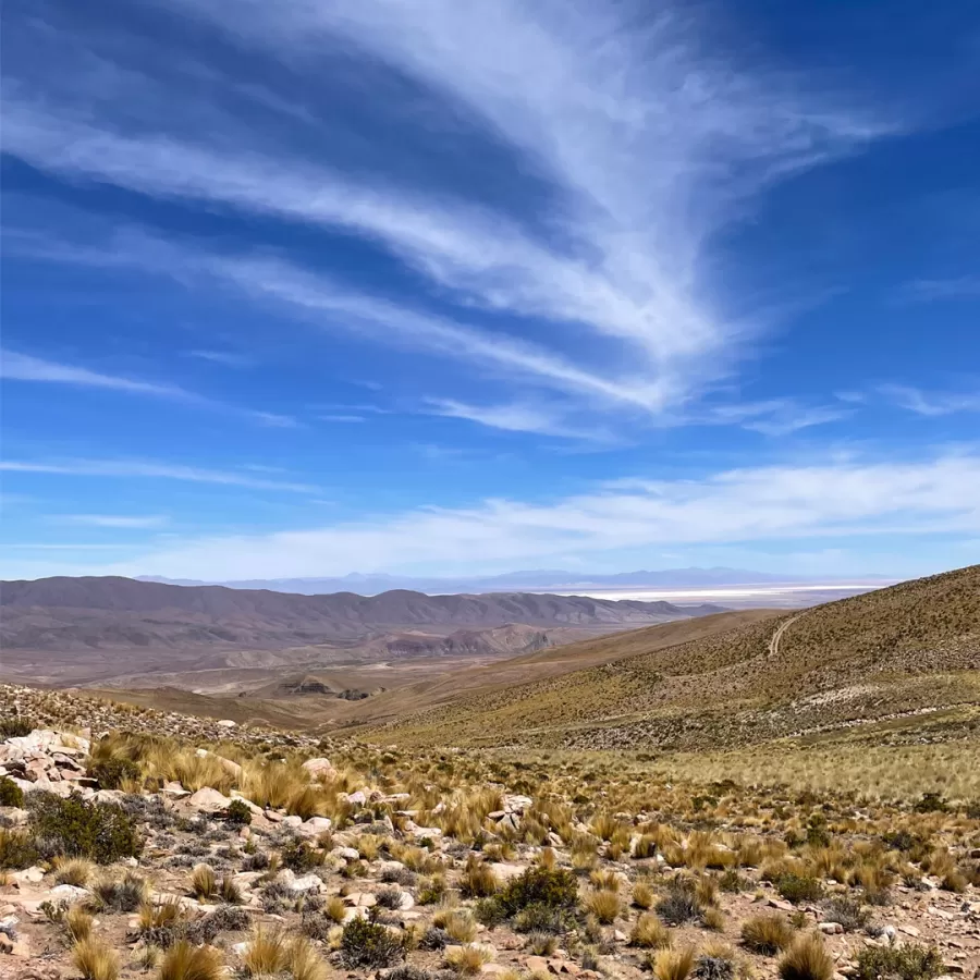 Cerro Nevado de Chañi
