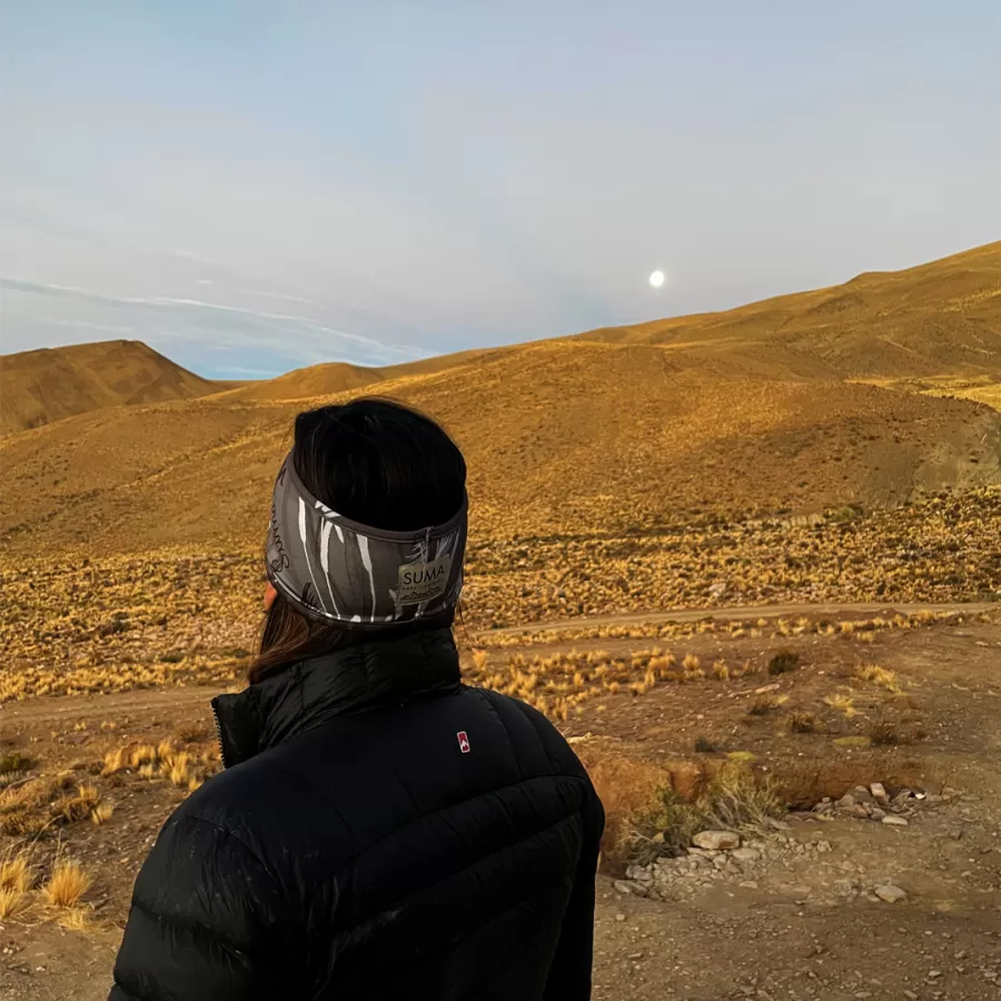 Cerro Nevado de Chañi