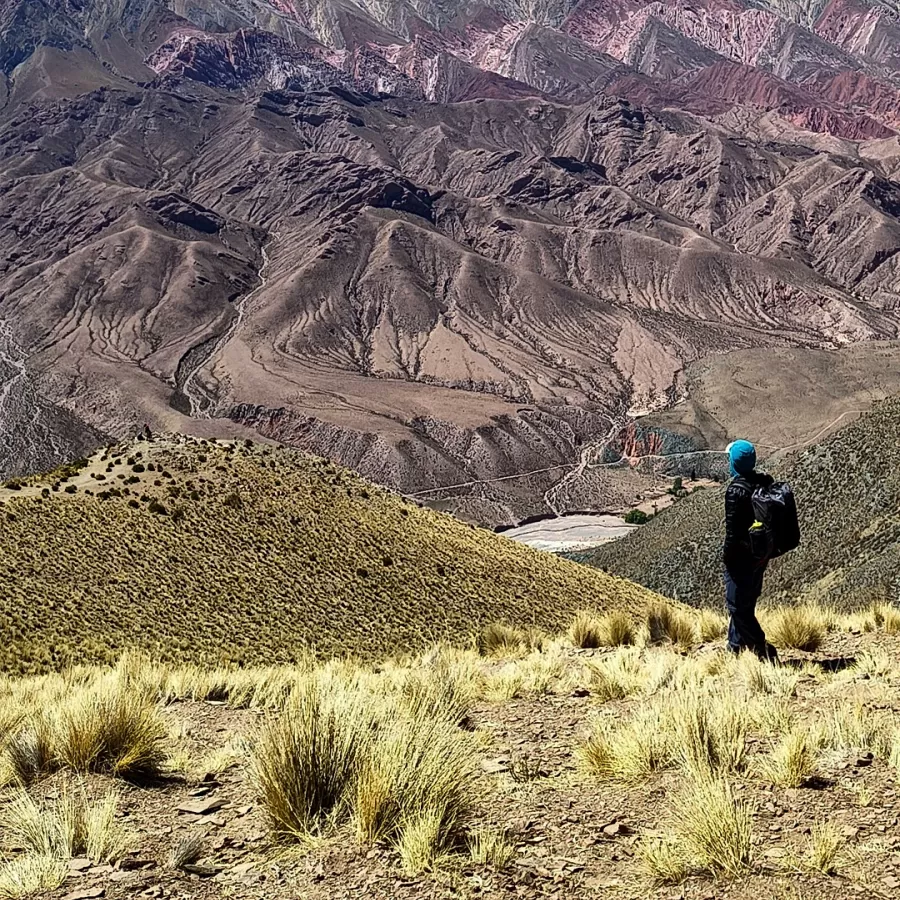 Cerro Nevado de Chañi