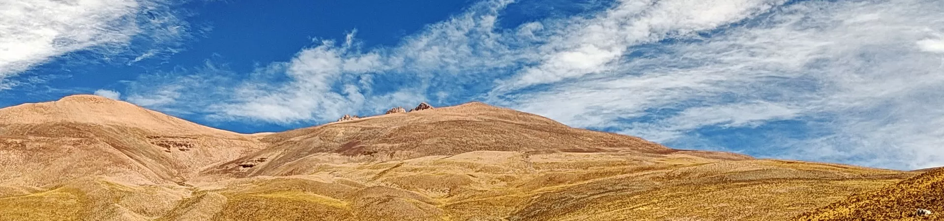 Cerro Nevado de ChañiC